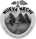 Nueva Nechí